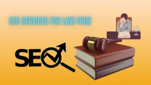 seo agency for law firms​